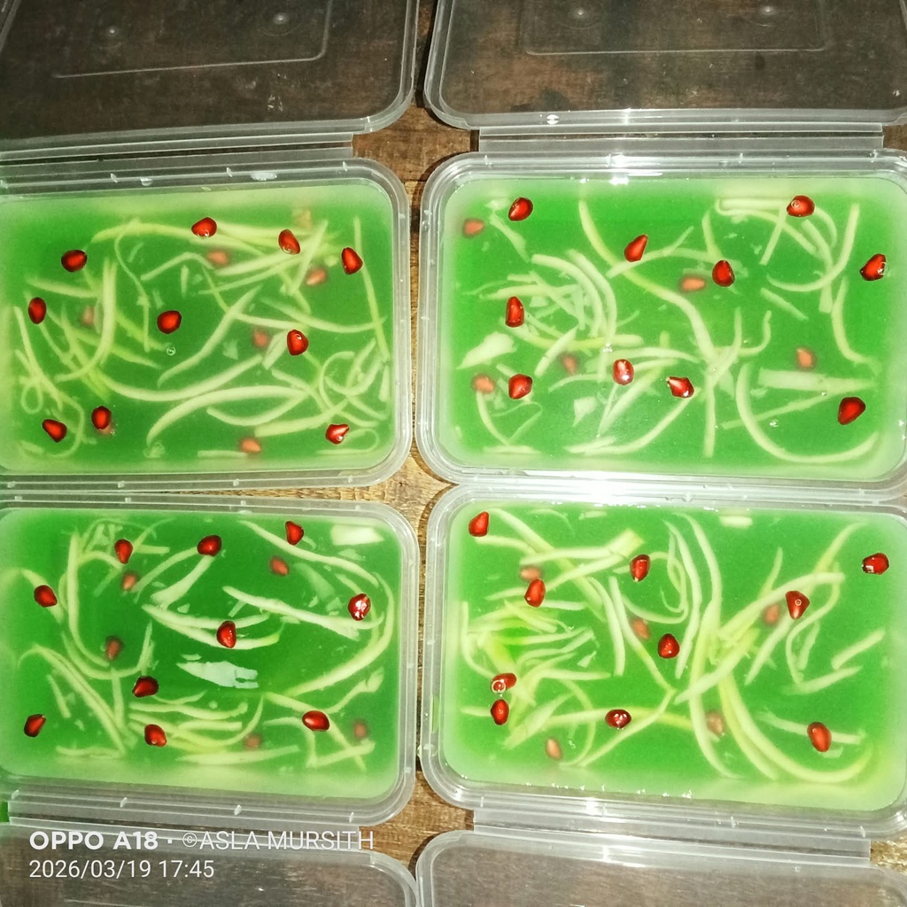 King coconut agar agar