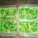 King coconut agar agar