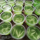 King coconut agar agar