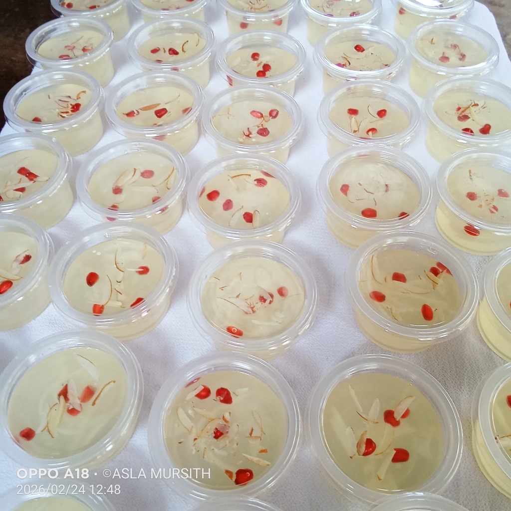 King coconut agar agar