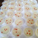 King coconut agar agar