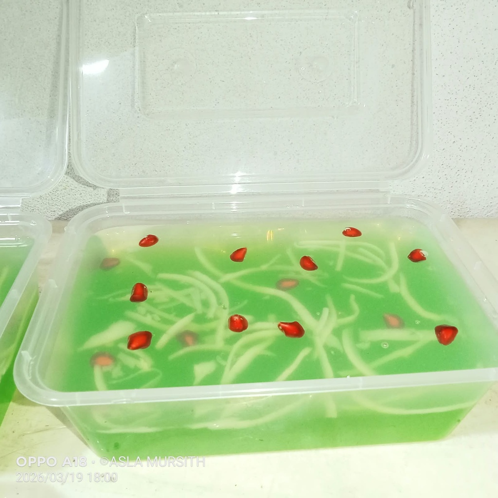 King coconut agar agar