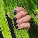 Black Nail Henna Powder