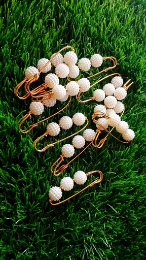Saree Pin