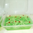 King coconut agar agar