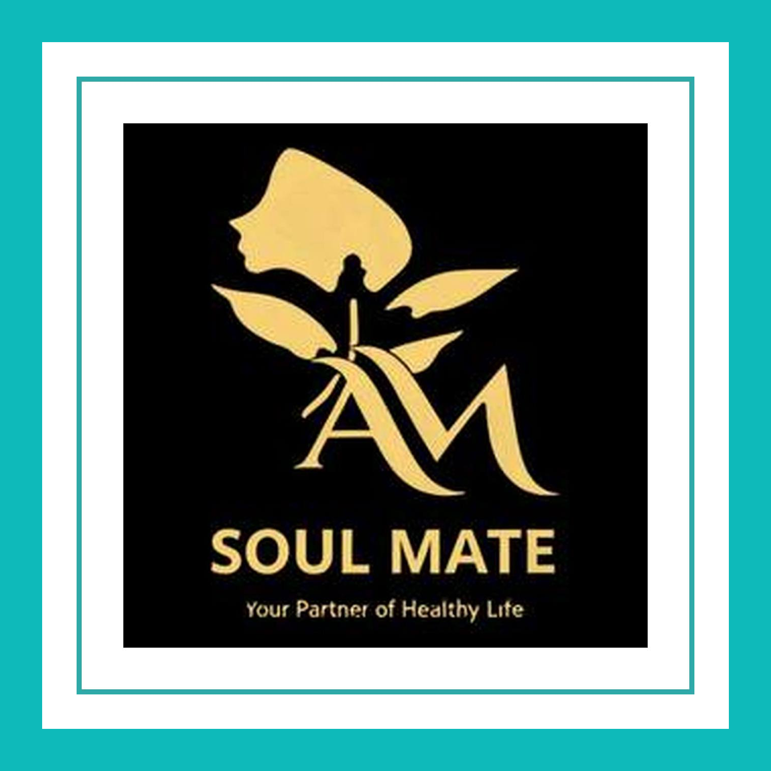 AM Soul Mate Pvt Ltd